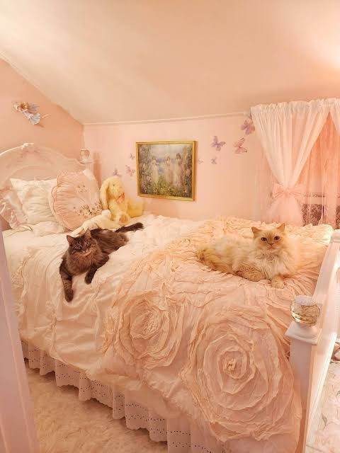 【平成に流行】「将来は絶対こんな部屋に住むって思ってた」天蓋付きベッドとピンク尽くしの姫系家具…2011年のニッセンカタログが“現代のお姫様方”に刺さった理由