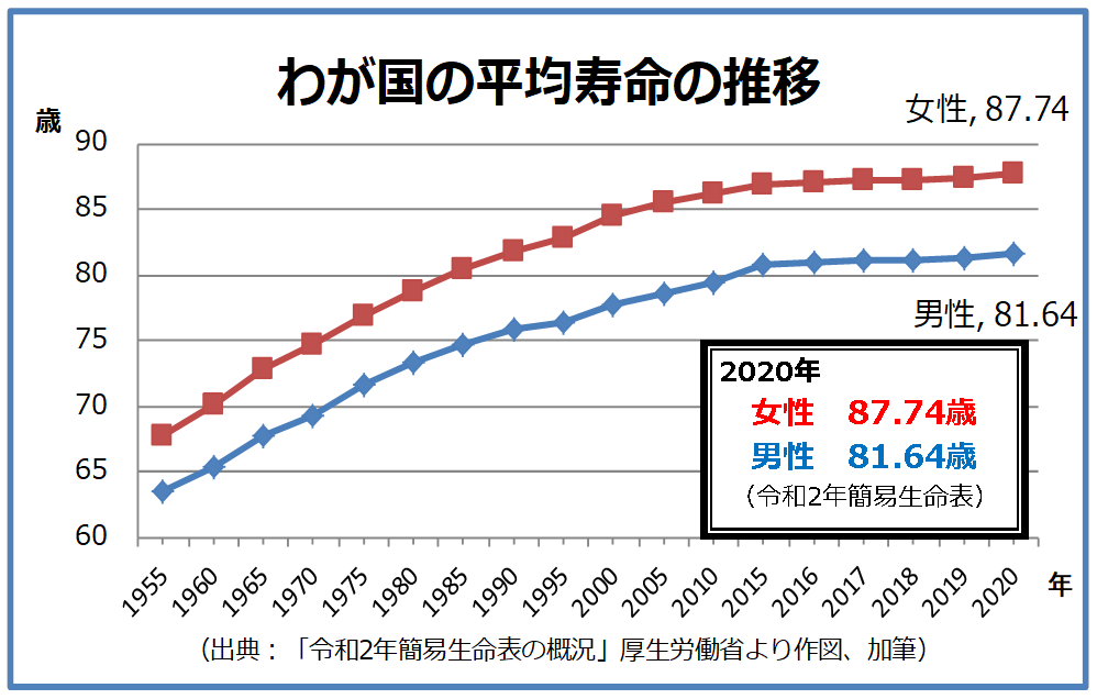 思わず見惚れてしまうもの