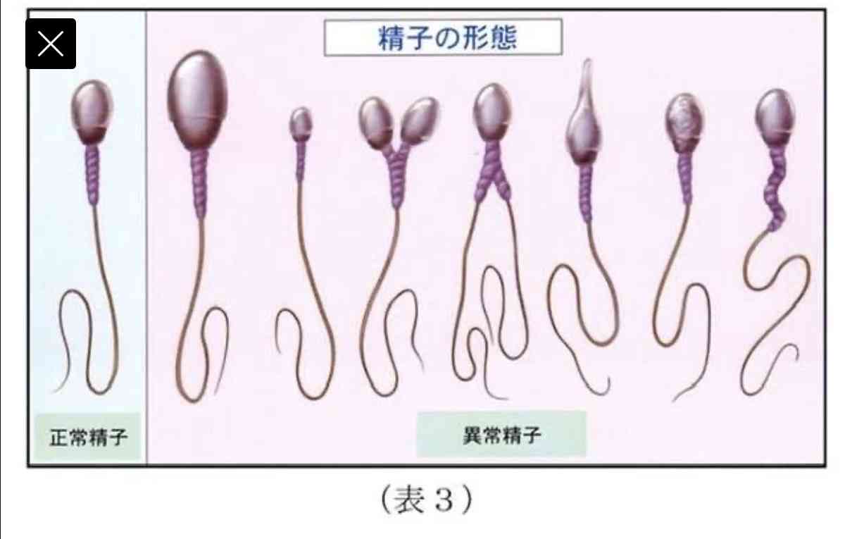 年の差恋愛、年上か年下かどっちがいい?
