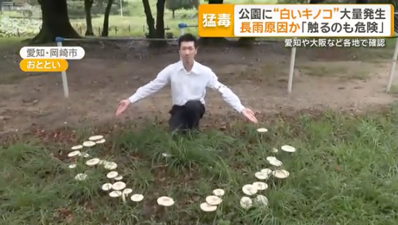 「毒」を持つ生き物について語ろう
