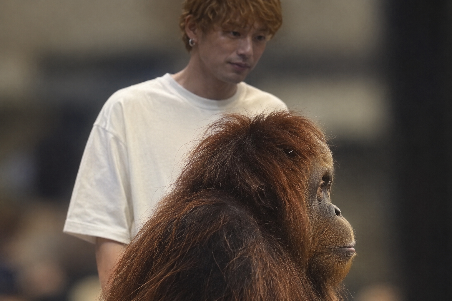 坂口健太郎、一般女性と結婚 ファンクラブサイトで電撃報告 所属事務所も認める