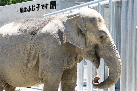 一目で市区町村名が分かったらプラス