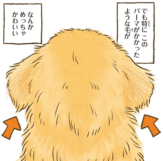 動物の後頭部が好きな人