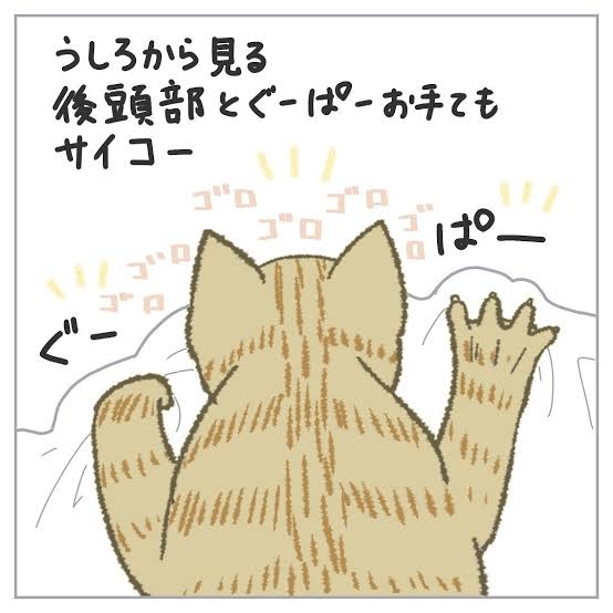 動物の後頭部が好きな人