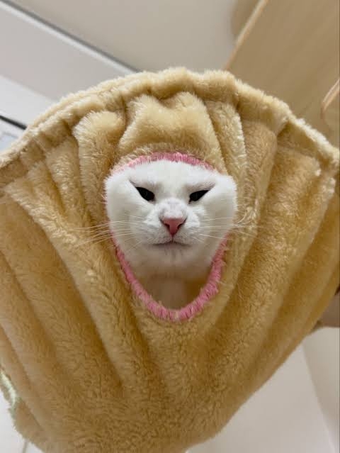 40歳以降のリフトアップ施術
