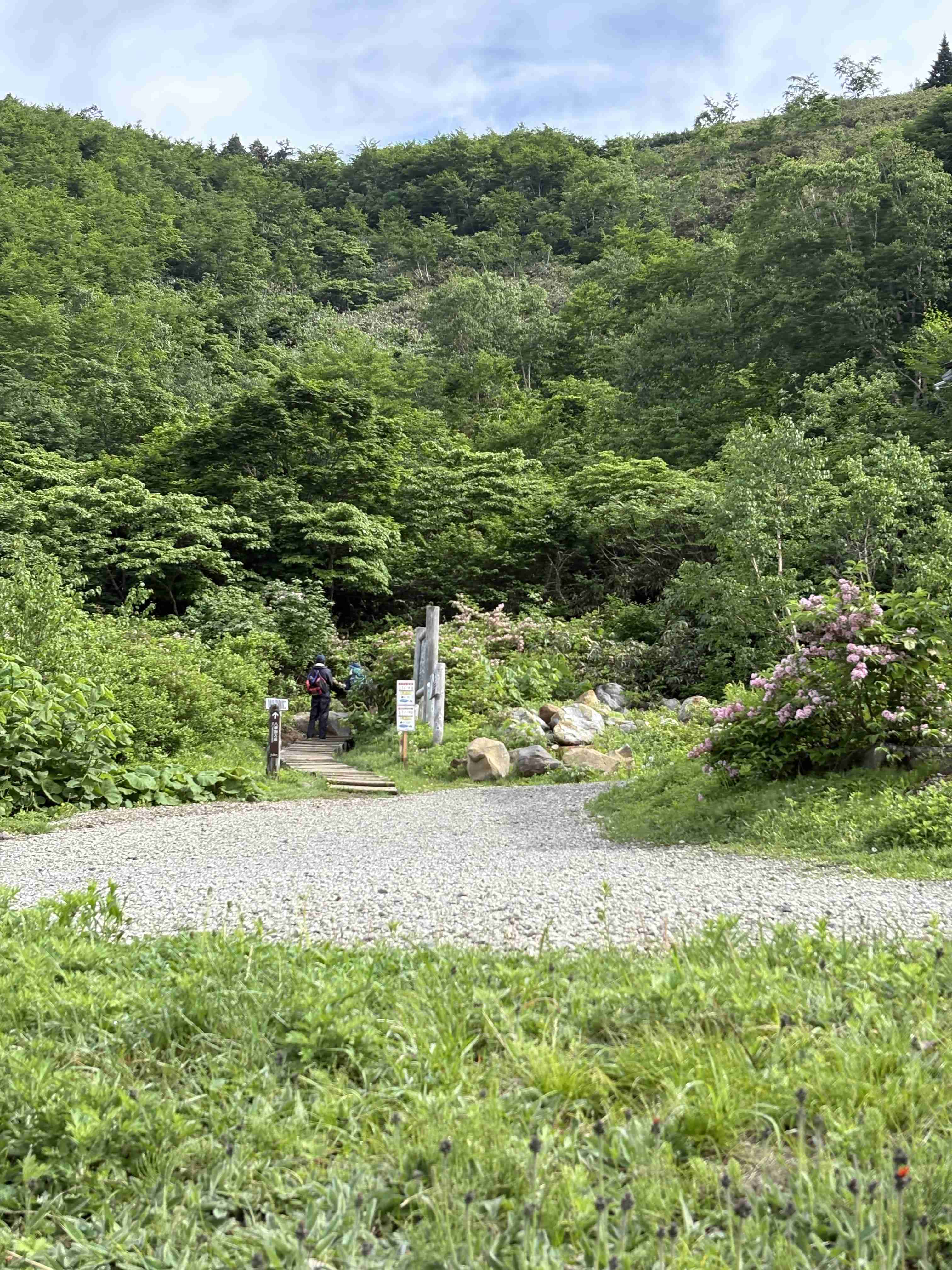 東京・八王子市でツキノワグマの緊急銃猟、都内で初 人的被害未然防止のため市長が承認