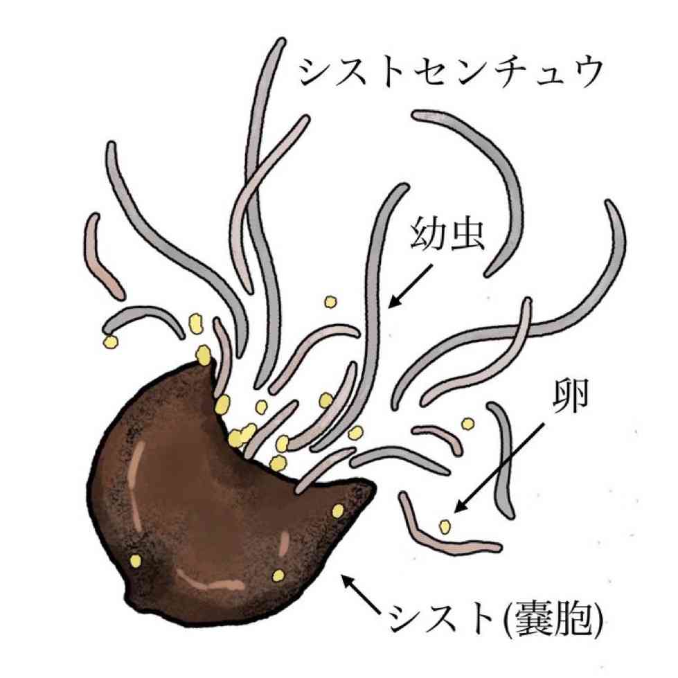 今、イライラしてる人