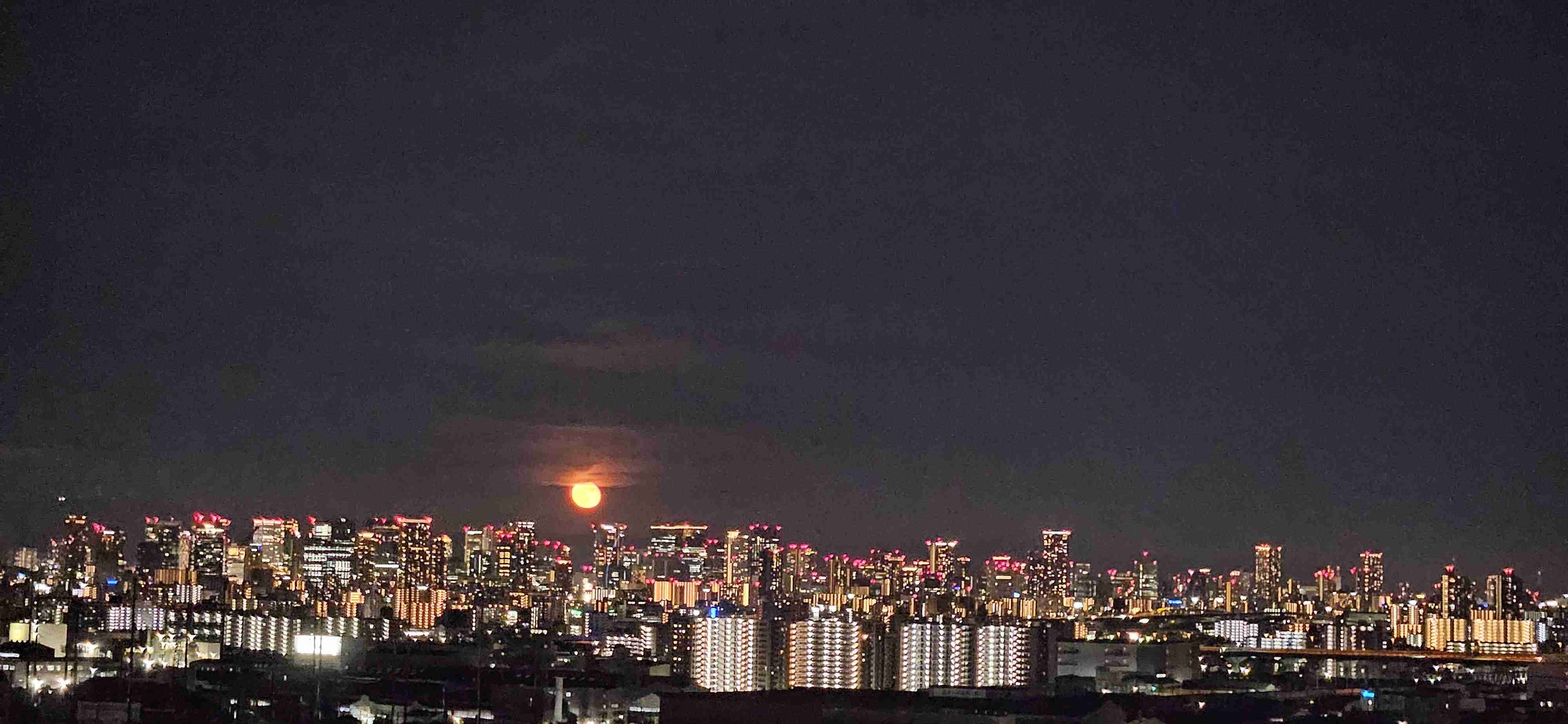 夜が好き