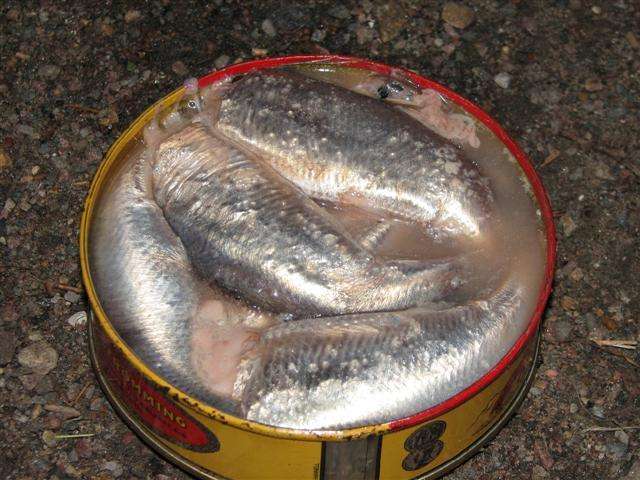 【気になる】味が想像できない食べ物の画像を貼ると誰かが教えてくれるトピ