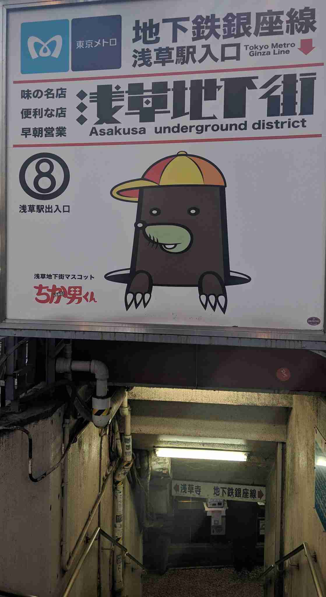 キツネが「モグラ」をくわえて現れ、玄関先にポトリと落として去って行った…今年7回目のキツネ出没、謎行動に住民困惑　専門家が立てた意外な仮説「日当たりの良い所に置いて干物にすることによって調理を…」