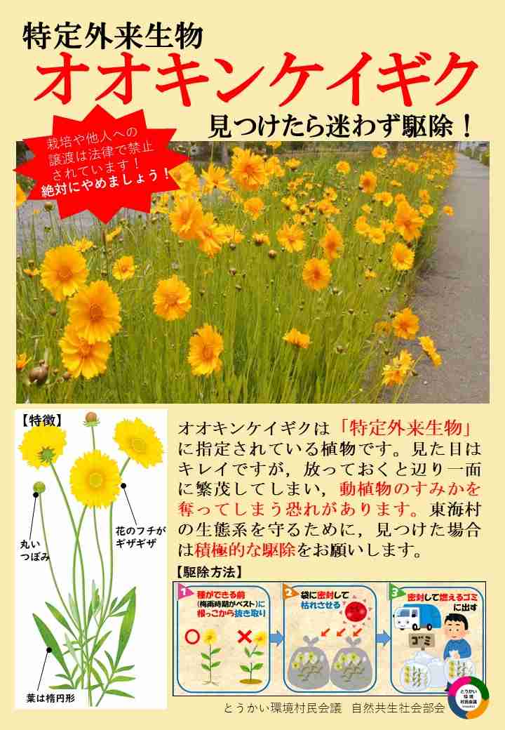 『いぶすき菜の花マラソン』のポスターに「生成AIを利用している」と批判、事務局は認めるも「変更する予定はありません」