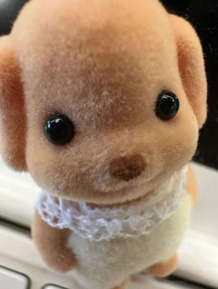 幼稚園の先生が感じ悪い