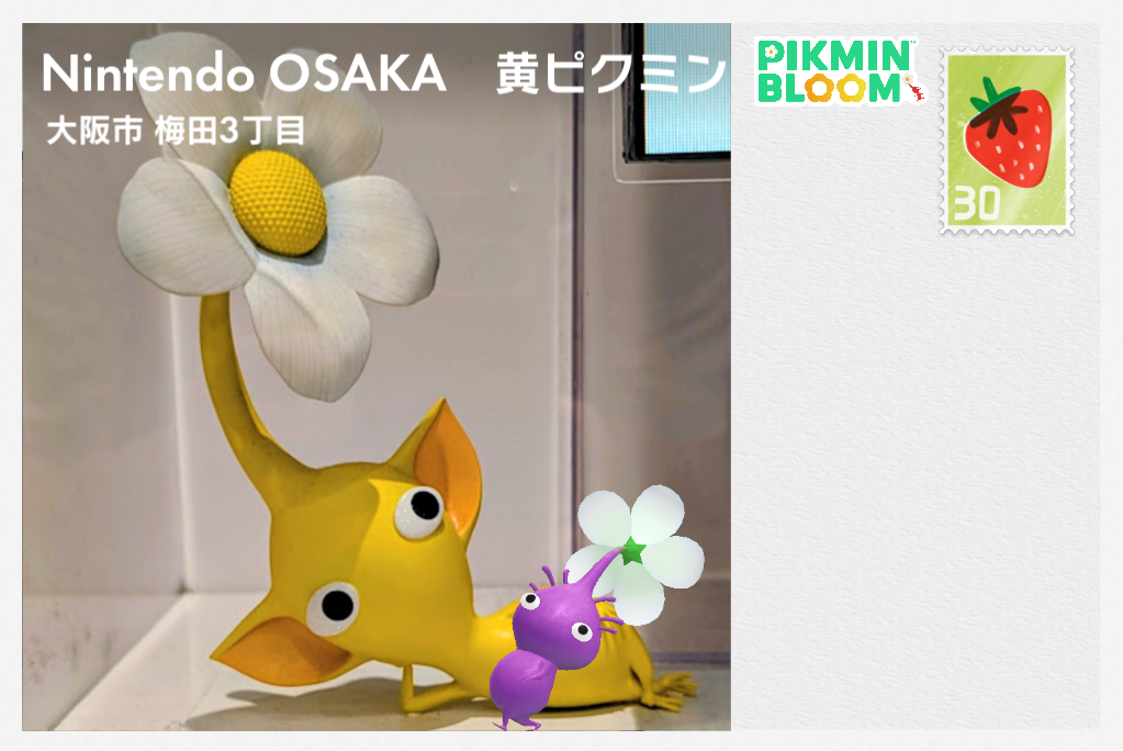 Pikmin Bloom（ピクミンブルーム）ピクミンとおでかけしよう💐Part.35💐