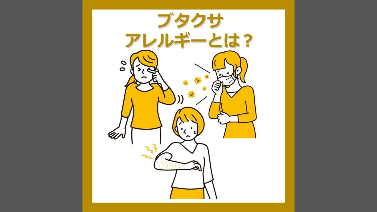 ブタクサ被害2026