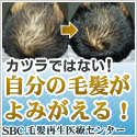 福山雅治、自毛植毛の秘密