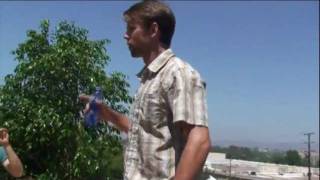 Crazy Marriage Proposal - Guy falls off building!!! - YouTube