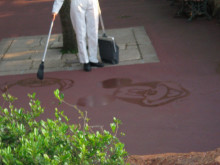 落ち葉をこんな形にした警備員さんがお茶目すぎてほんわかした