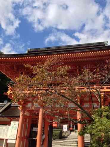 日本人なら知らないと恥ずかしい「初詣の参拝マナー」5つ