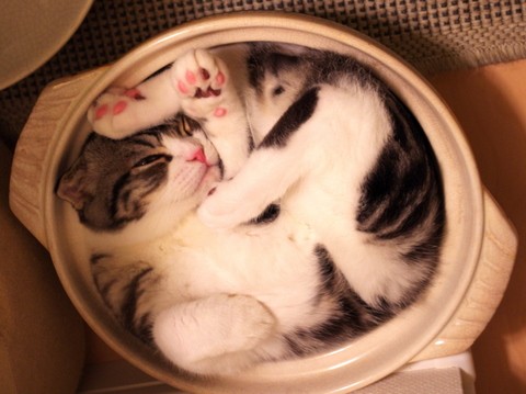 キュンエピソードを語ろう♪