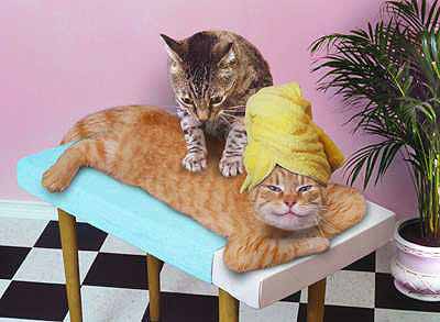 毛穴ケアの方法教えてください