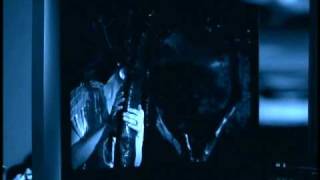 Shania Twain - You're Still The One - YouTube