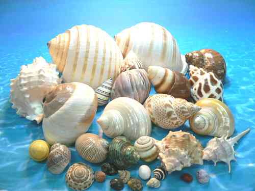 懐かしい！子供の時に集めていたもの(*^^*)