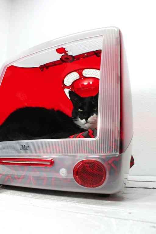 マックの中に住んでるネコをご覧ください