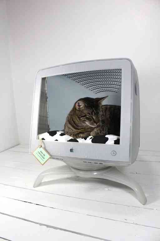 マックの中に住んでるネコをご覧ください