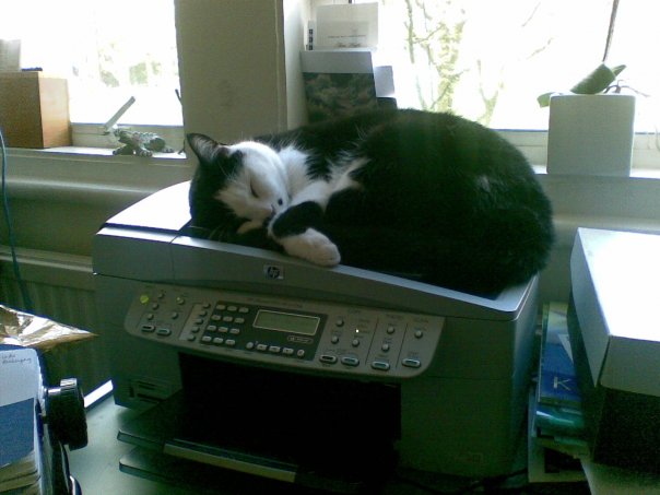 ブラザーのファクス、猫の尿かかると発火の恐れ