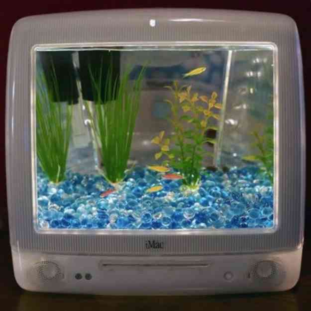 マックの中に住んでるネコをご覧ください