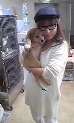 「春になり沢山の子猫が保健所に」。中川翔子が