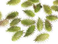 懐かしい！子供の時に集めていたもの(*^^*)