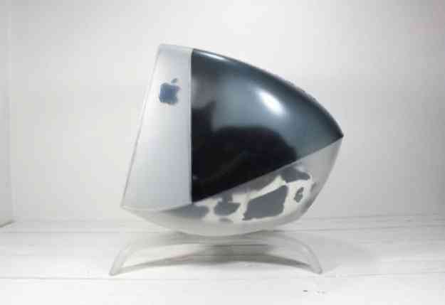 マックの中に住んでるネコをご覧ください