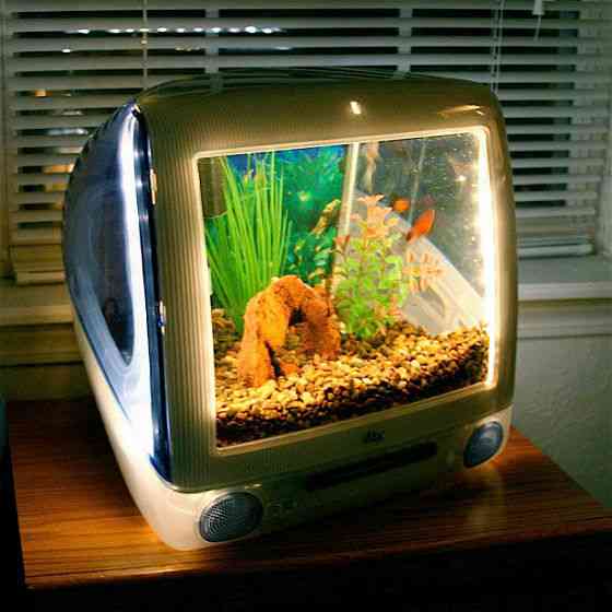 マックの中に住んでるネコをご覧ください