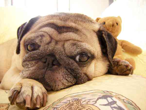 老けて見える原因「目のたるみ」を悪化させるNG習慣3つ