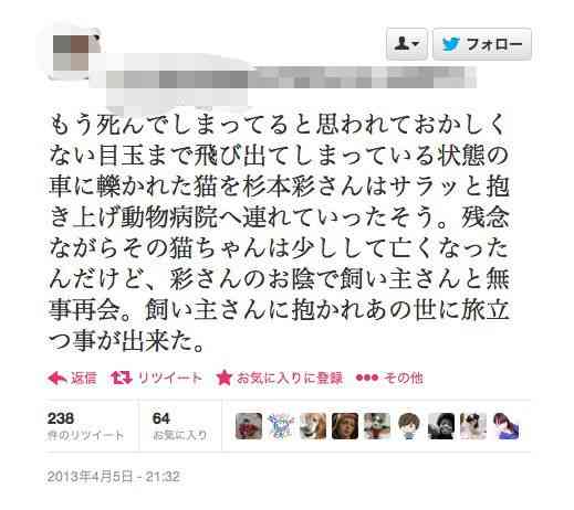 杉本彩、ライブの収益を京都市に寄付「動物愛護に役立てて」