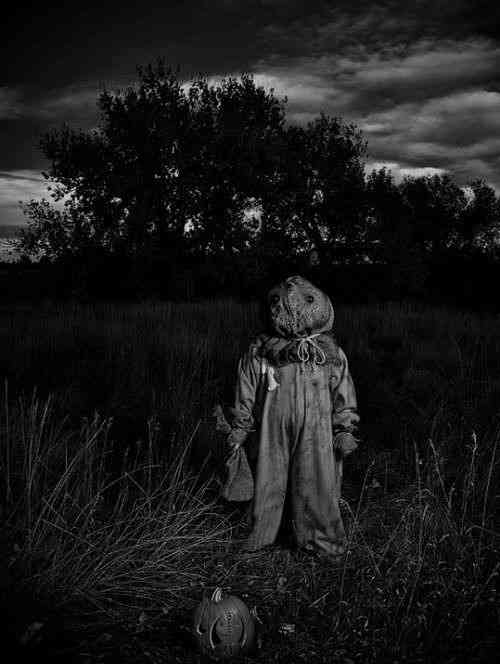 【閲覧注意】見ただけでゾワッとする画像35選