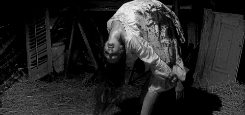 【閲覧注意】見ただけでゾワッとする画像35選