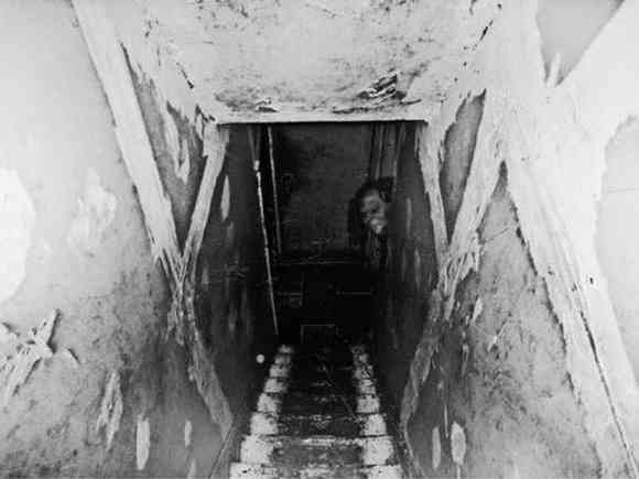 【閲覧注意】見ただけでゾワッとする画像35選 | ロケットニュース24