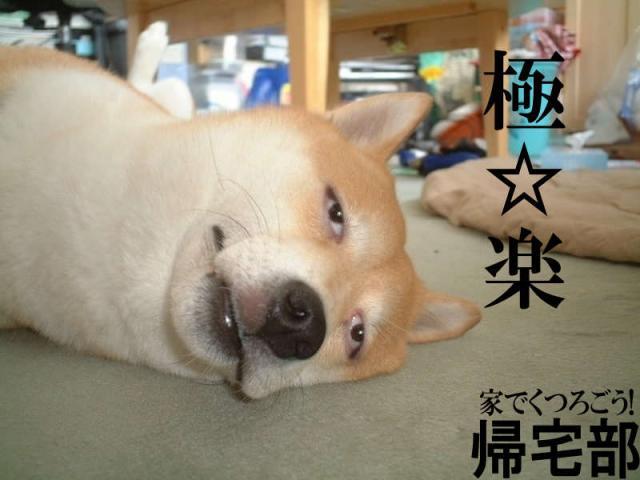 渋谷の女性300人に聞いた「付き合いたい男子の部活TOP10」