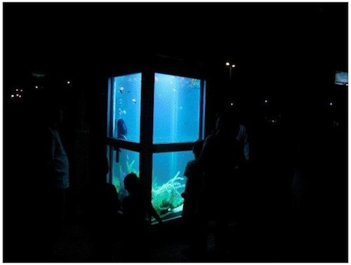シャワーから図書館や水族館まで! 世界の公衆電話ボックスのリユース・アイデアが素敵
