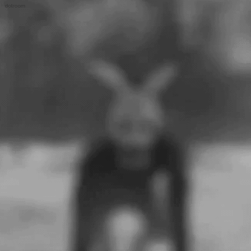 【閲覧注意】見ただけでゾワッとする画像35選