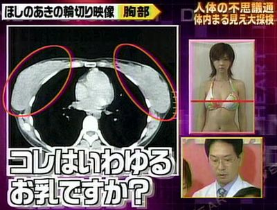 芸能界に未練なし？「ペニオク騒動」ほしのあきに引退説も…