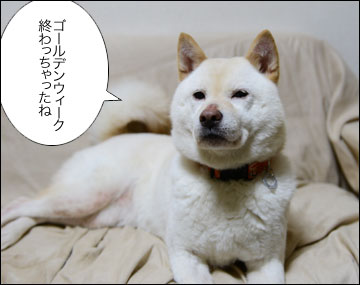 五月病の正体 10個のチェックリスト
