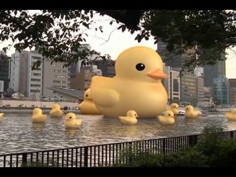 Rubber﻿ Duck　Project 大阪のかわいい超巨大アヒルを見てきたよ。 - YouTube