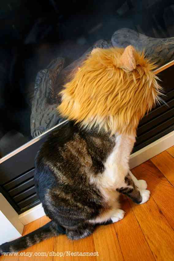 猫をライオンにランクアップできる「ライオン帽子」が可愛い
