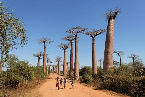 世界の国の人口順に国土の大きい国を当てはめた結果がおもしろい
