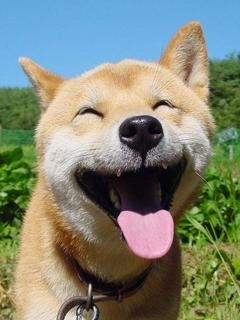 癒しトピへようこそ♪