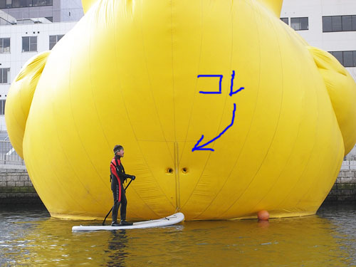 大阪で大人気だった巨大アヒルちゃん、香港で溺れる?