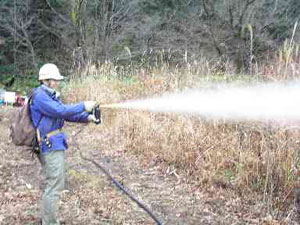 スズメバチを退治しようとした教諭、クマ撃退スプレー使う→児童36人病院搬送